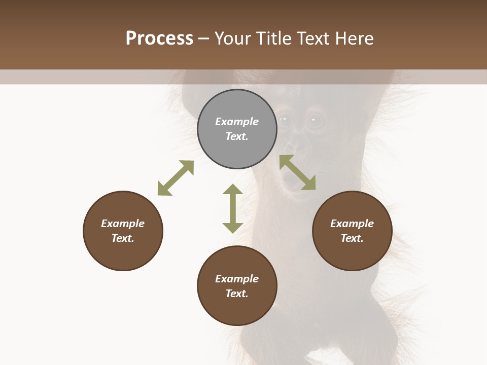 Indoors White Young Animal PowerPoint Template