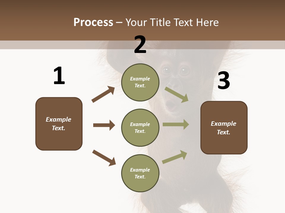 Indoors White Young Animal PowerPoint Template