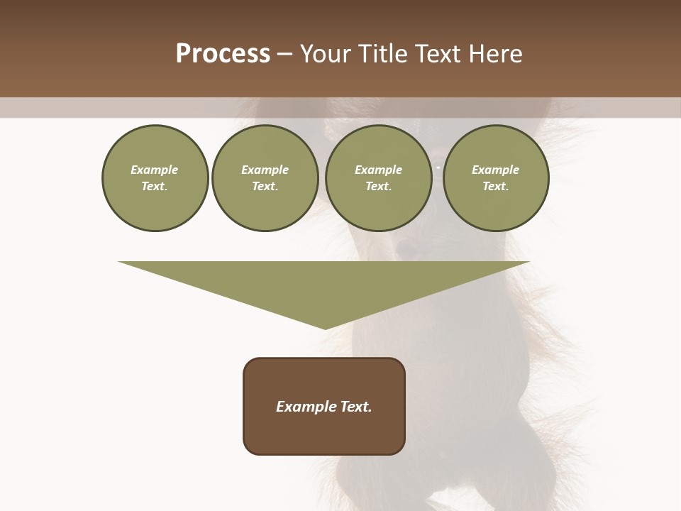 Indoors White Young Animal PowerPoint Template