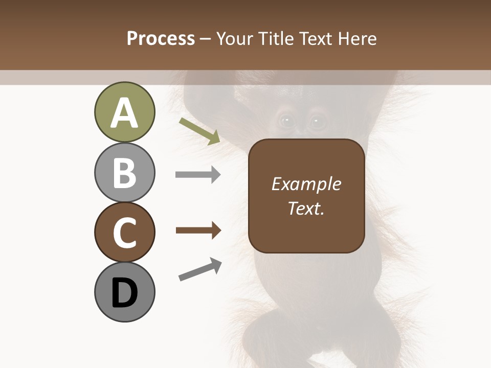 Indoors White Young Animal PowerPoint Template