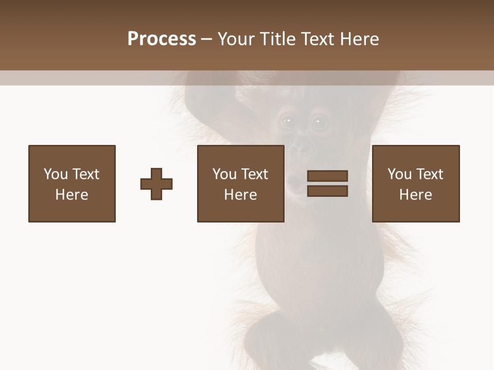 Indoors White Young Animal PowerPoint Template