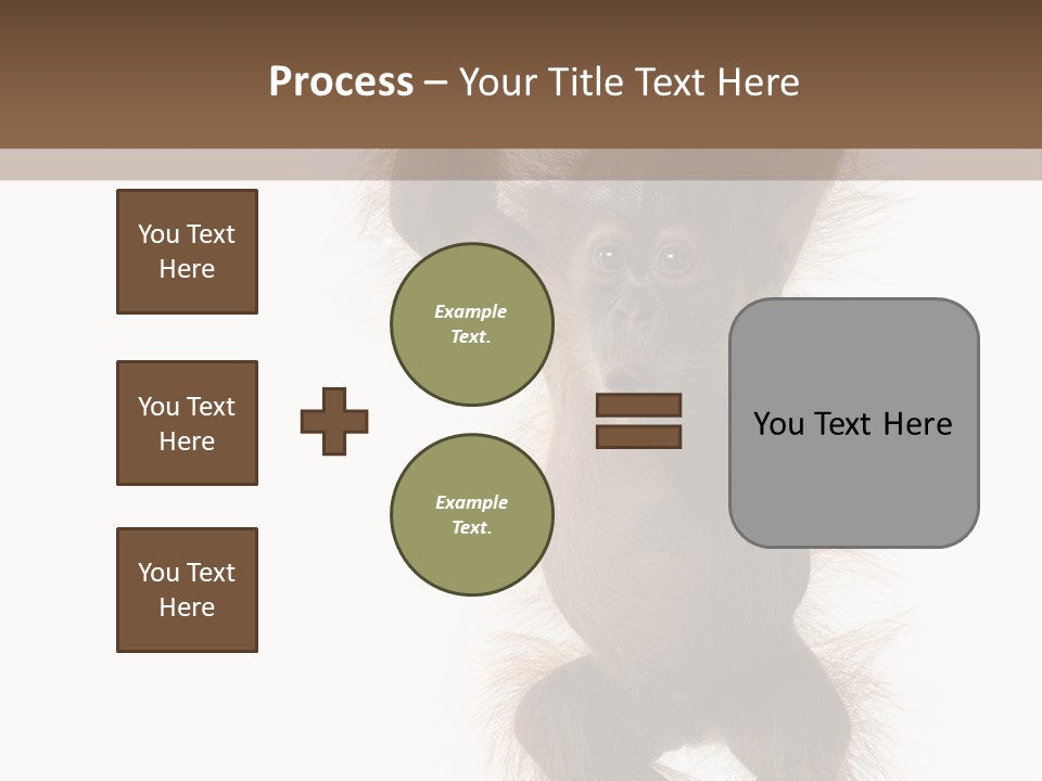 Indoors White Young Animal PowerPoint Template
