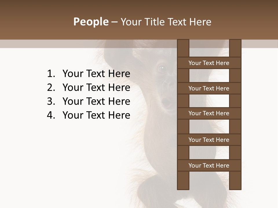 Indoors White Young Animal PowerPoint Template