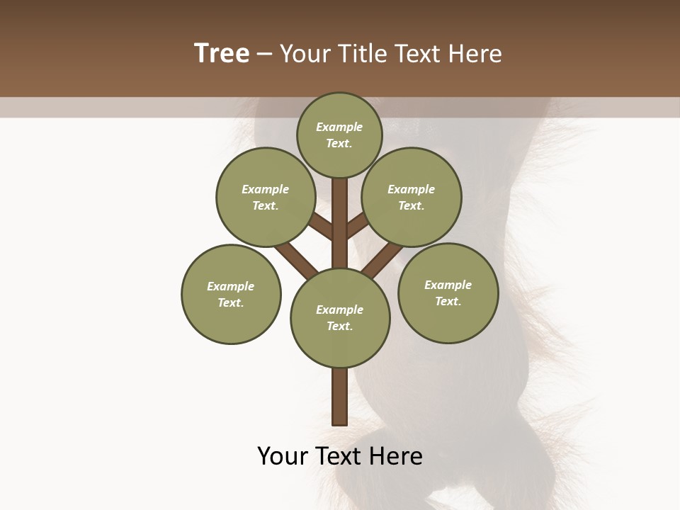 Indoors White Young Animal PowerPoint Template