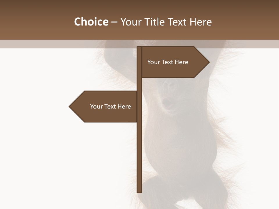 Indoors White Young Animal PowerPoint Template