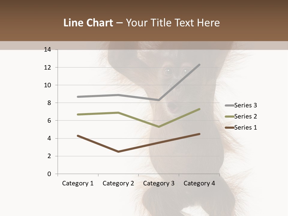 Indoors White Young Animal PowerPoint Template