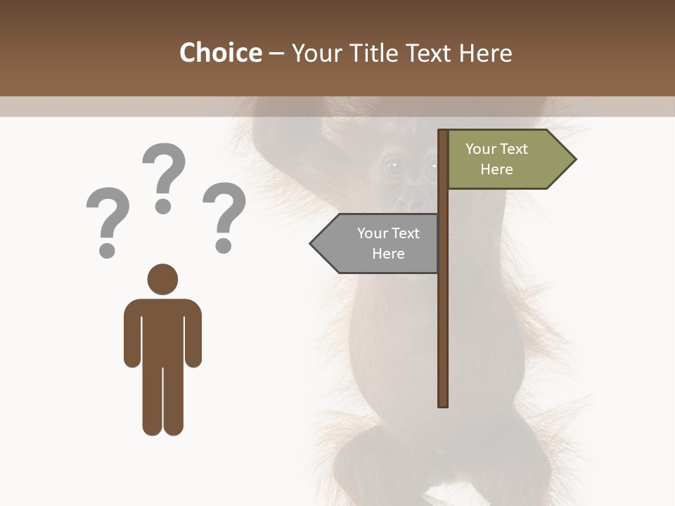 Indoors White Young Animal PowerPoint Template