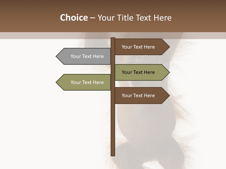 Indoors White Young Animal PowerPoint Template