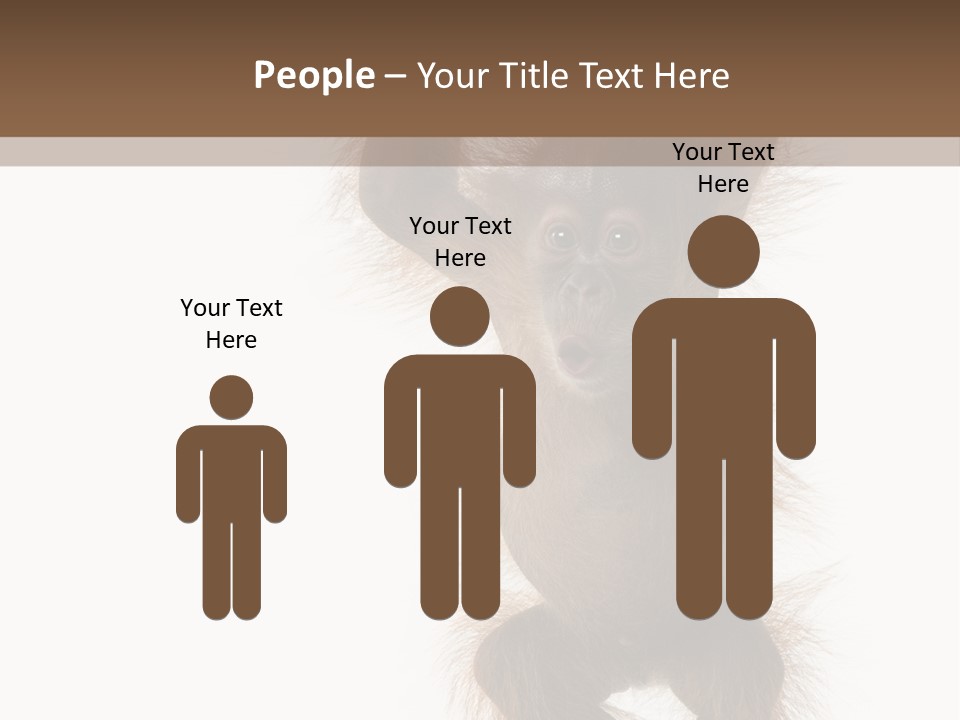Indoors White Young Animal PowerPoint Template
