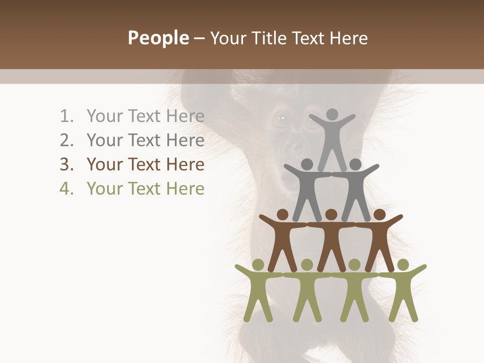 Indoors White Young Animal PowerPoint Template