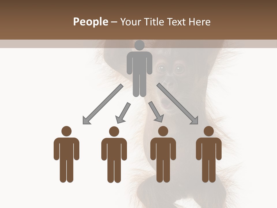 Indoors White Young Animal PowerPoint Template