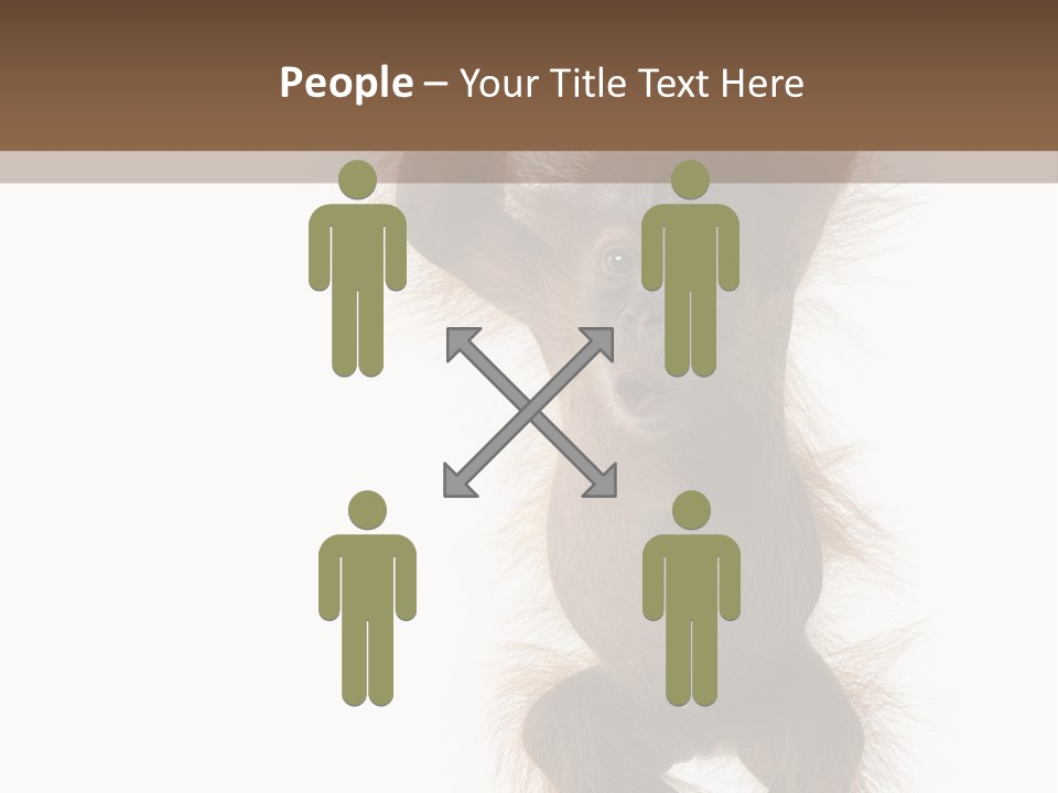 Indoors White Young Animal PowerPoint Template