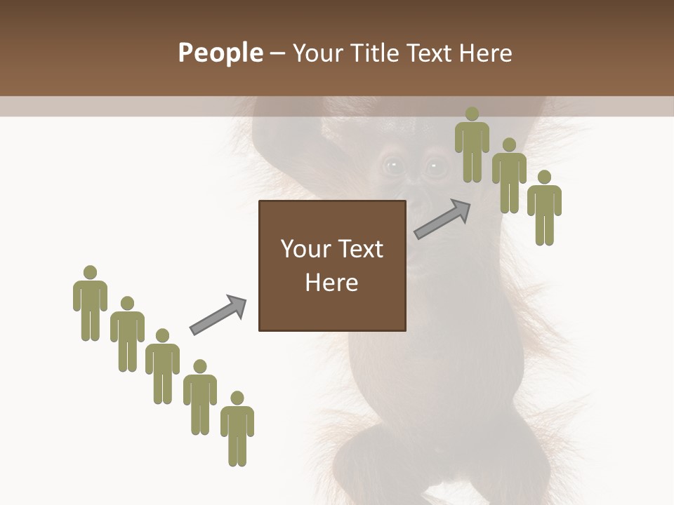 Indoors White Young Animal PowerPoint Template