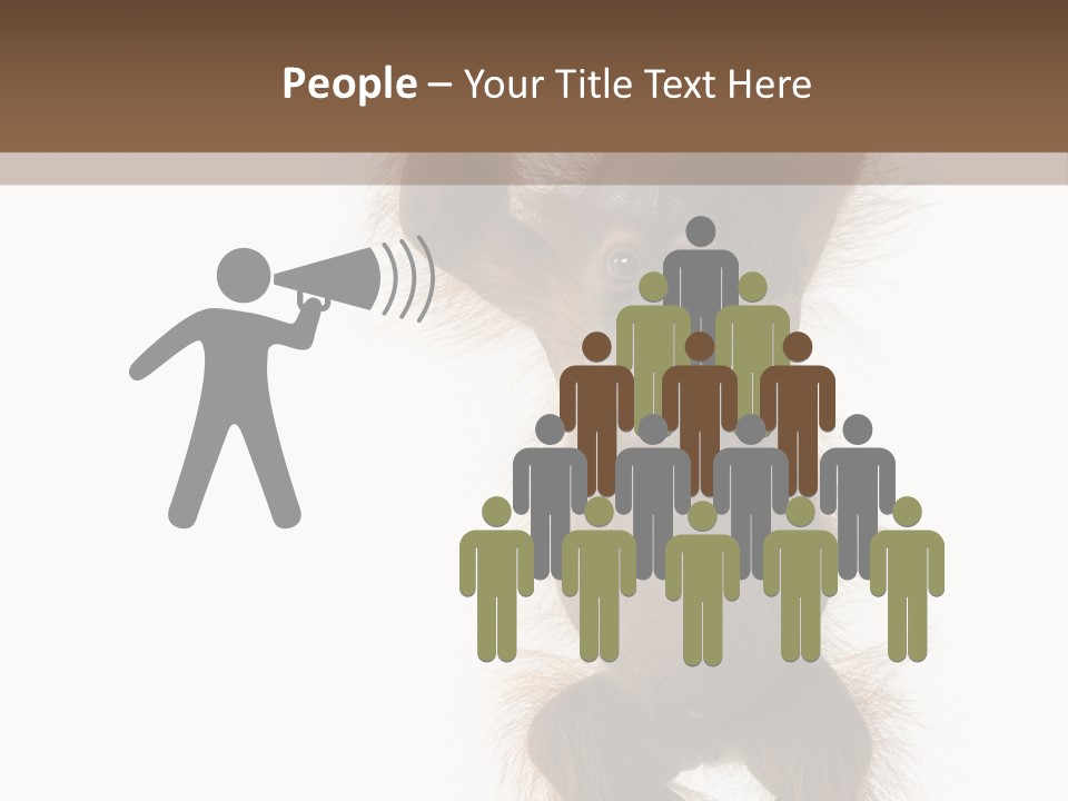 Indoors White Young Animal PowerPoint Template