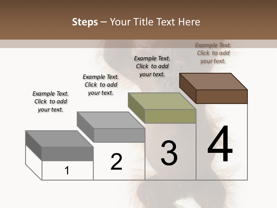 Indoors White Young Animal PowerPoint Template