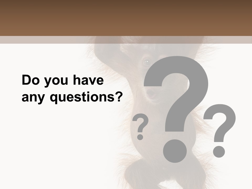 Indoors White Young Animal PowerPoint Template