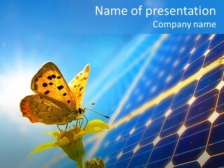 Butterfly Alternativ Blue PowerPoint Template