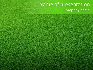 Nature Activity Freshness PowerPoint Template