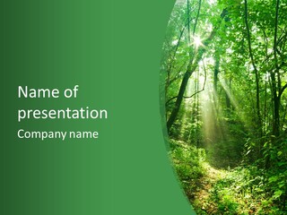 Through Misty Spring PowerPoint Template