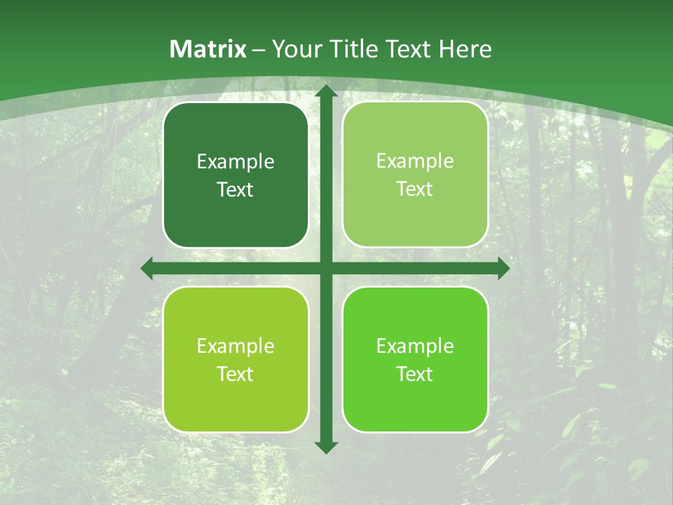 Through Misty Spring PowerPoint Template