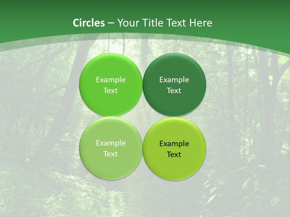 Through Misty Spring PowerPoint Template