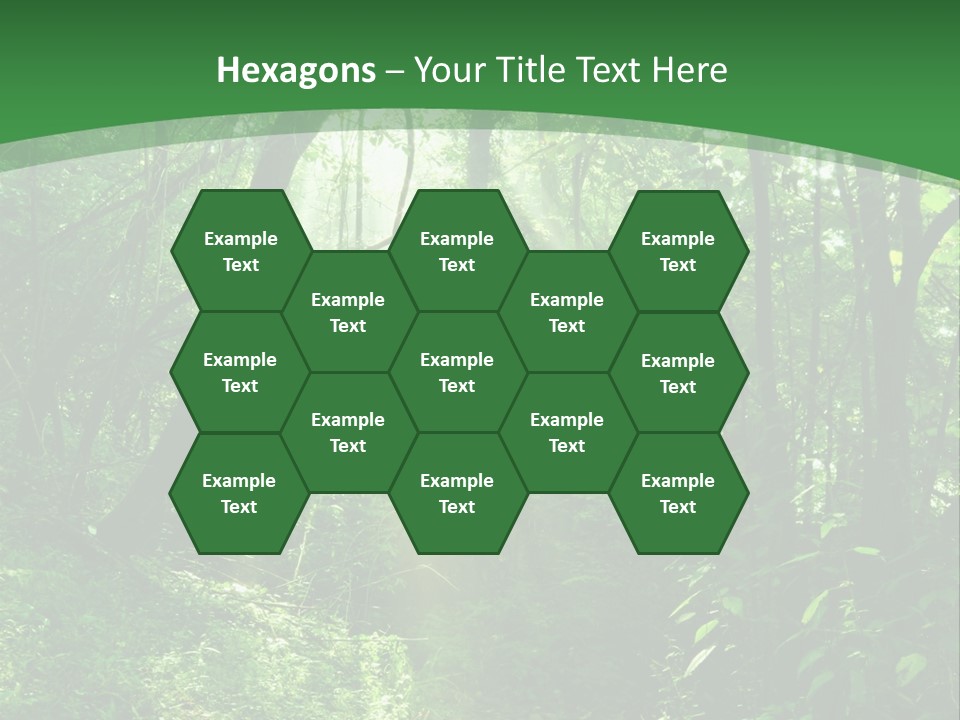 Through Misty Spring PowerPoint Template