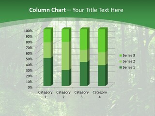 Through Misty Spring PowerPoint Template