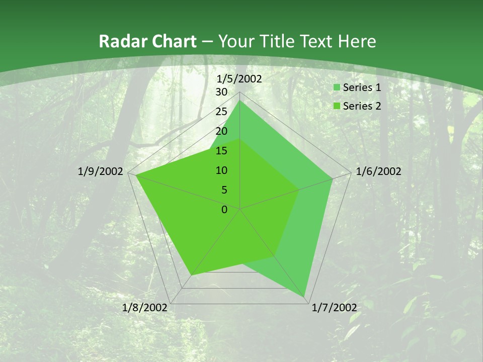 Through Misty Spring PowerPoint Template