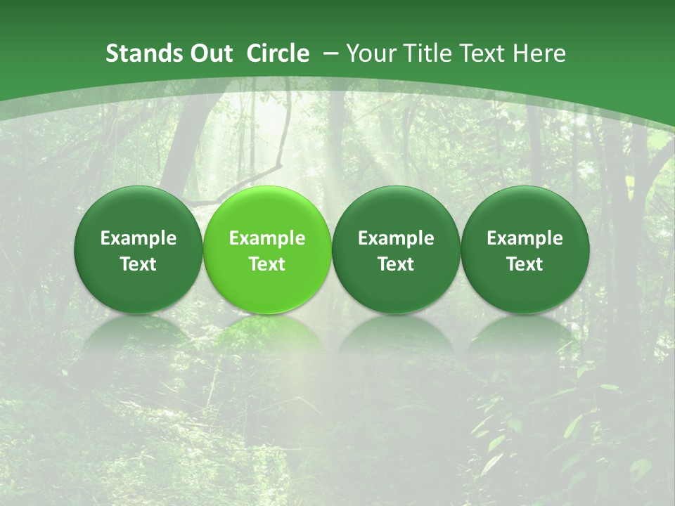 Through Misty Spring PowerPoint Template