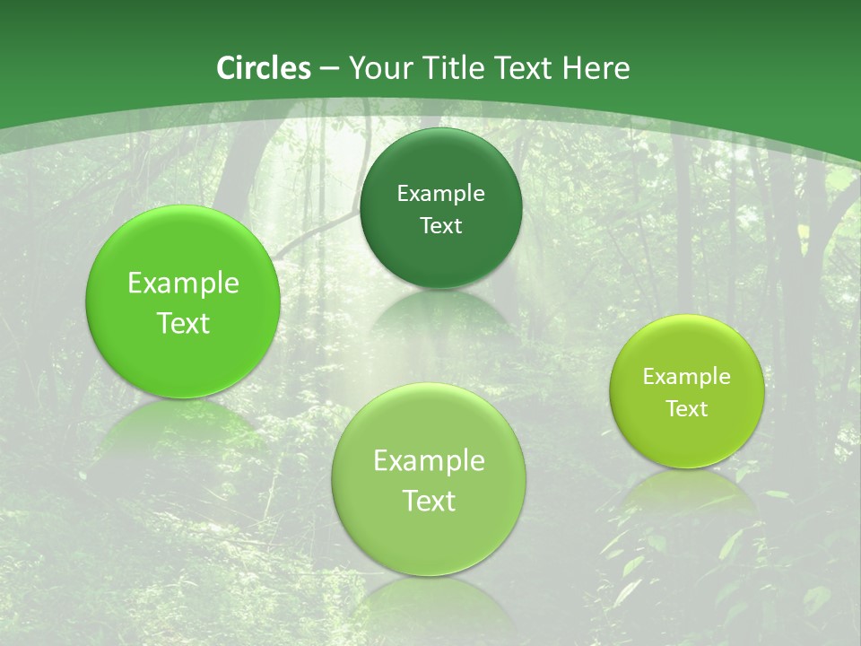 Through Misty Spring PowerPoint Template