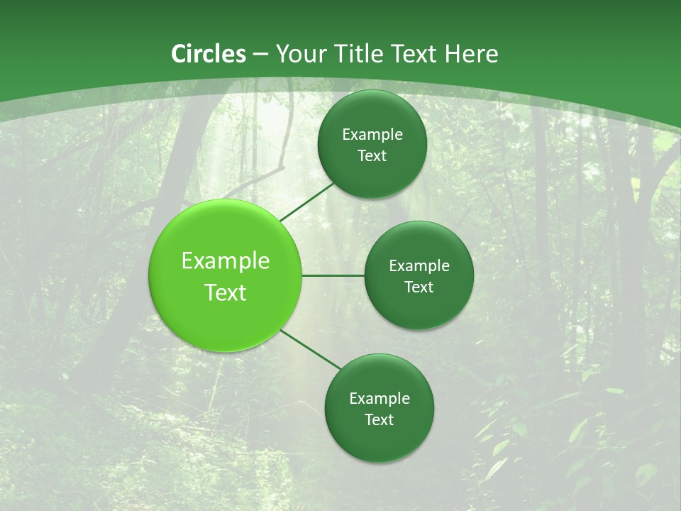 Through Misty Spring PowerPoint Template