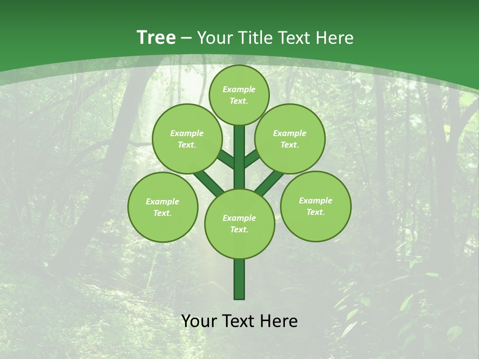 Through Misty Spring PowerPoint Template