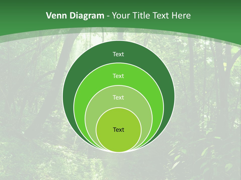 Through Misty Spring PowerPoint Template