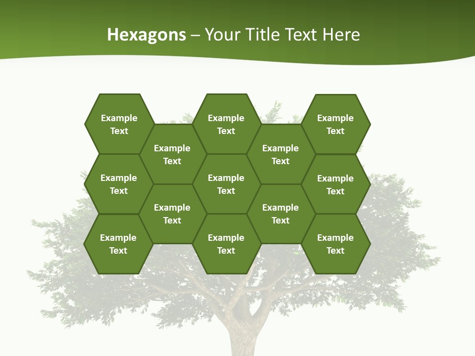 Eco Background Isolated PowerPoint Template