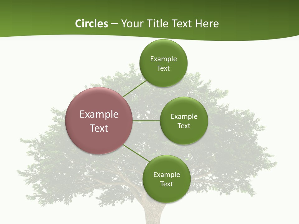 Eco Background Isolated PowerPoint Template