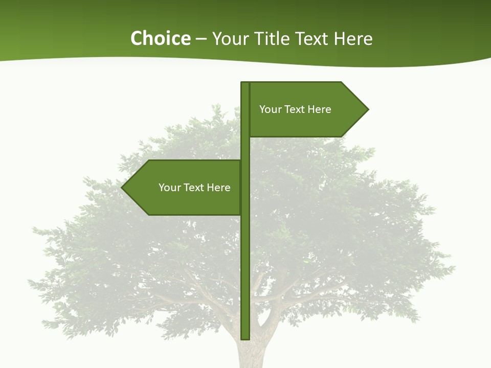 Eco Background Isolated PowerPoint Template