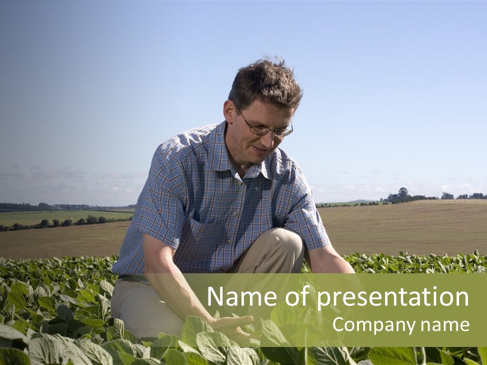 Fresh Male Plant PowerPoint Template