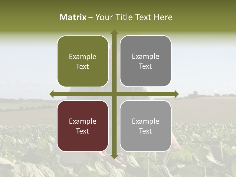 Fresh Male Plant PowerPoint Template