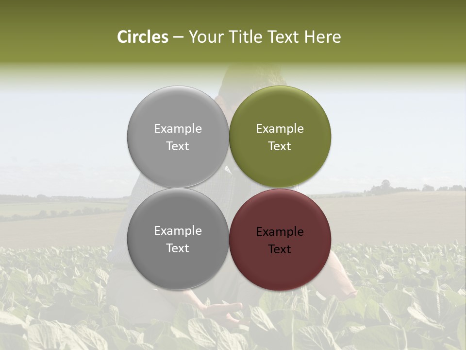 Fresh Male Plant PowerPoint Template