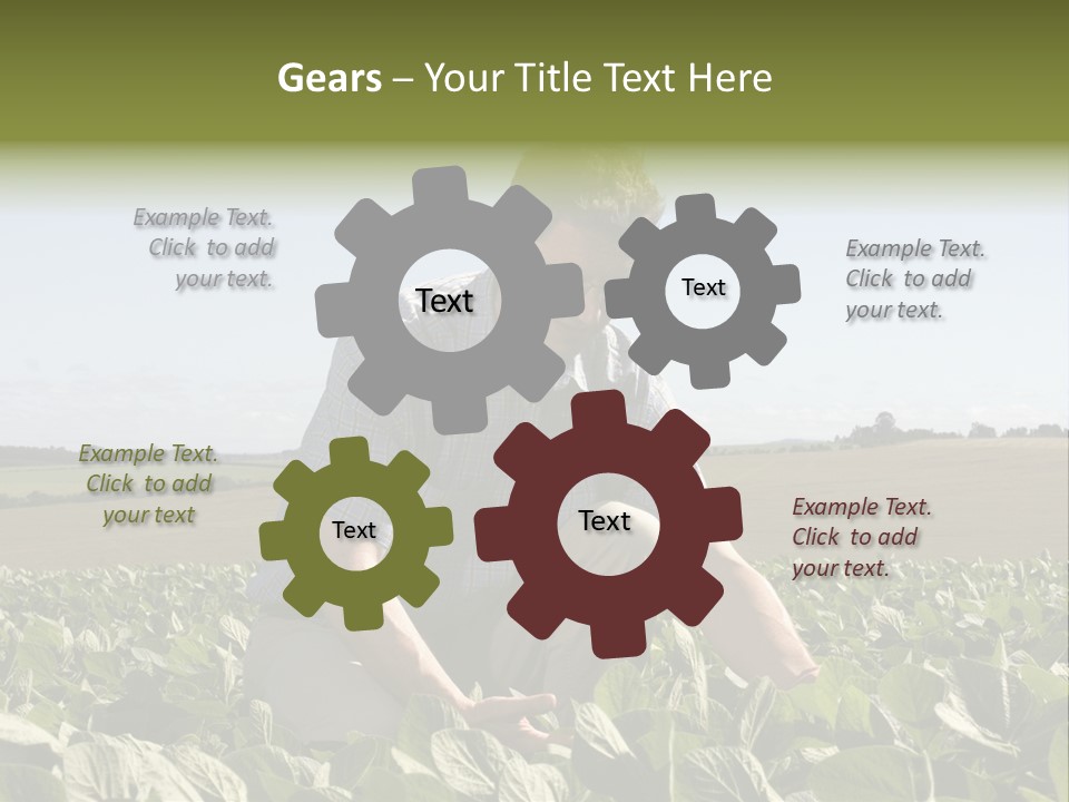 Fresh Male Plant PowerPoint Template