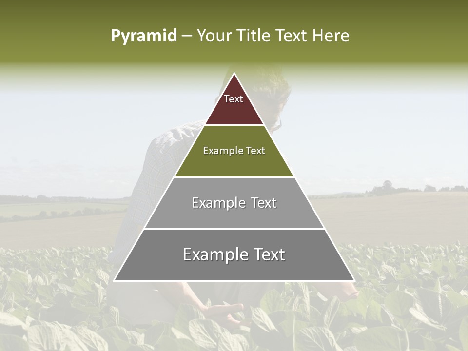 Fresh Male Plant PowerPoint Template
