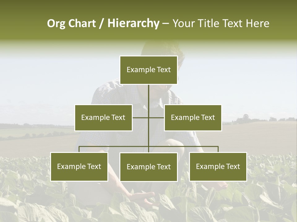 Fresh Male Plant PowerPoint Template
