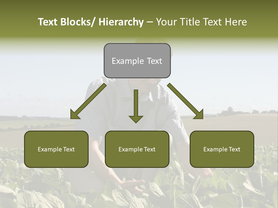 Fresh Male Plant PowerPoint Template
