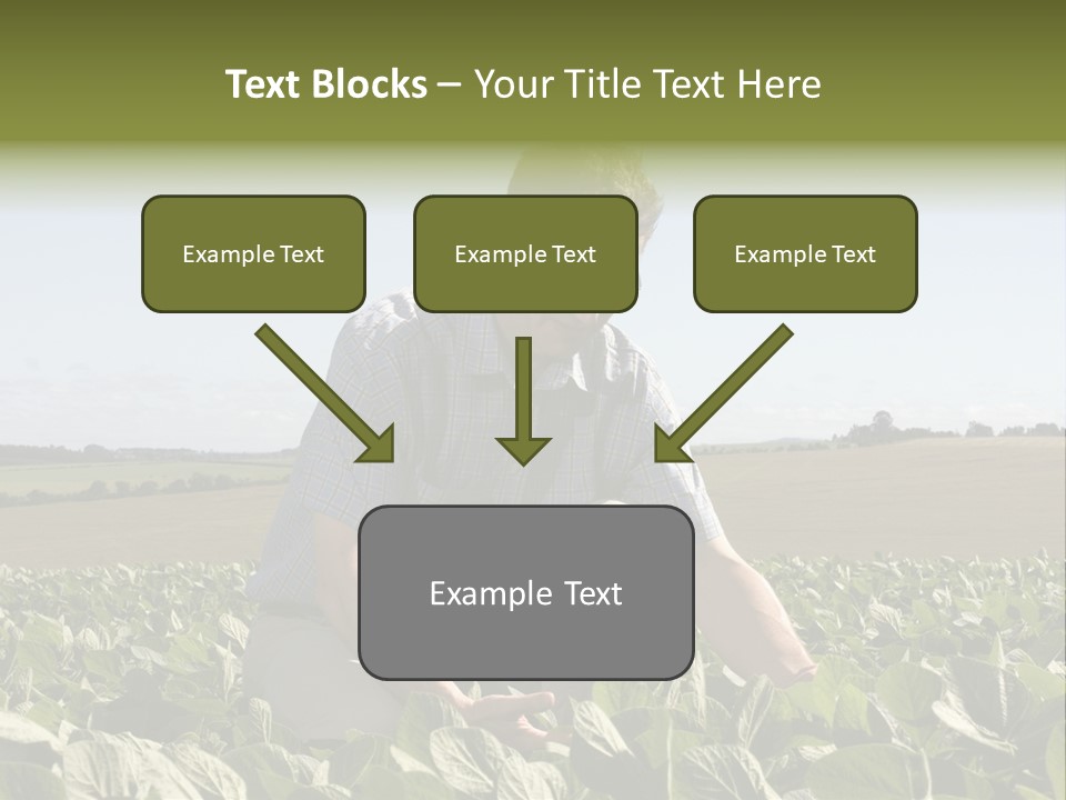 Fresh Male Plant PowerPoint Template