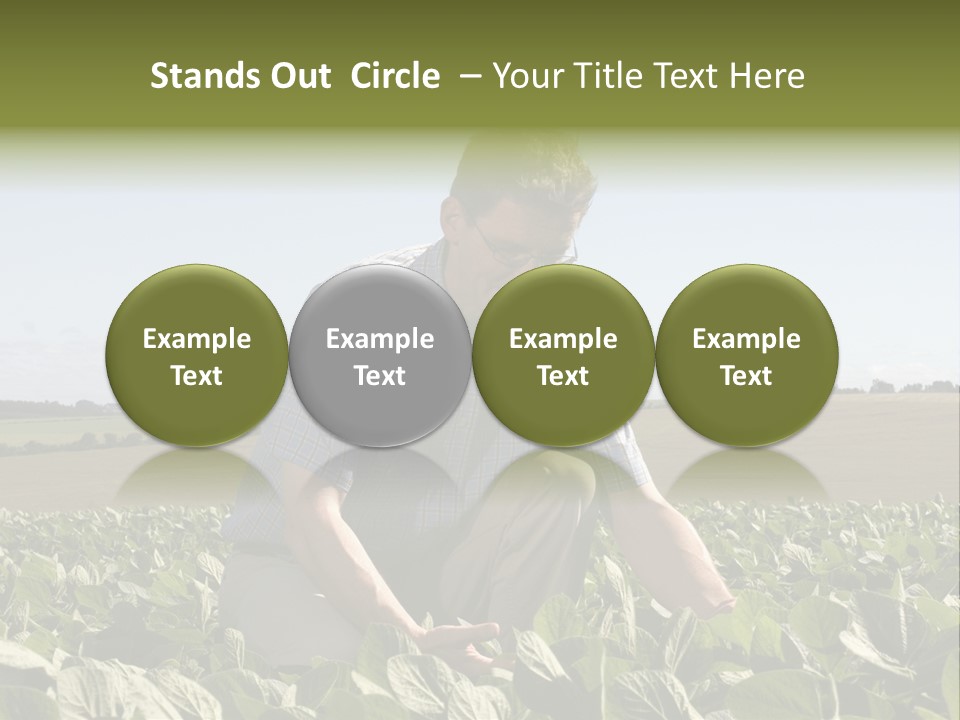 Fresh Male Plant PowerPoint Template