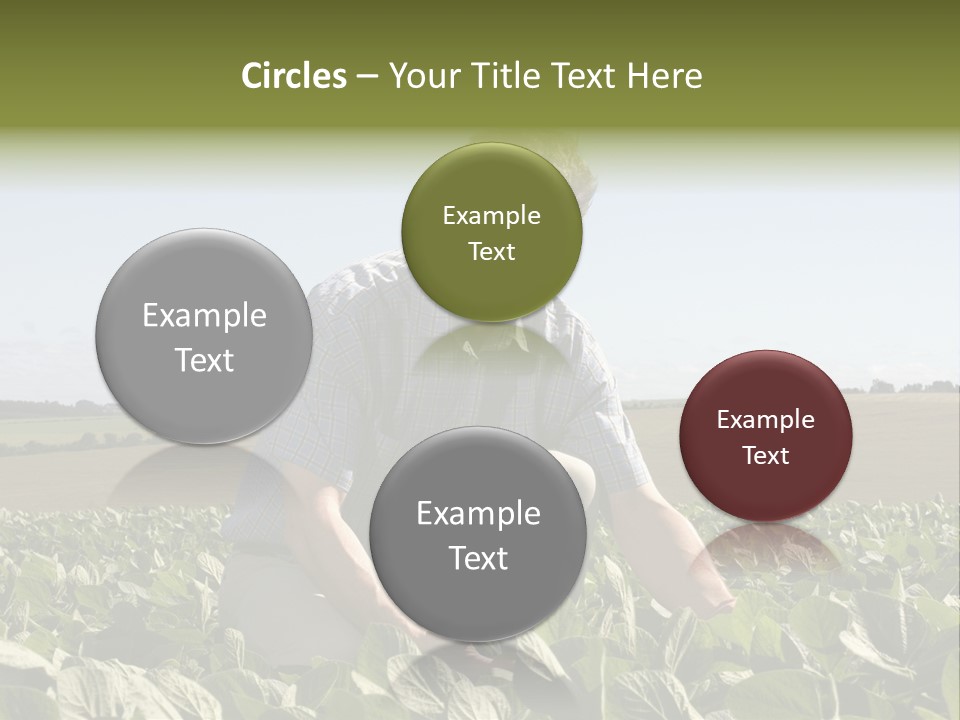 Fresh Male Plant PowerPoint Template