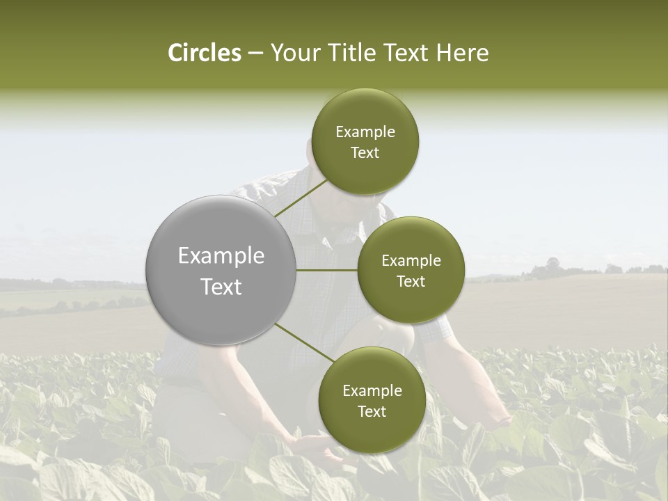 Fresh Male Plant PowerPoint Template