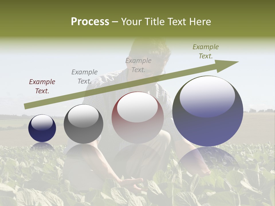 Fresh Male Plant PowerPoint Template