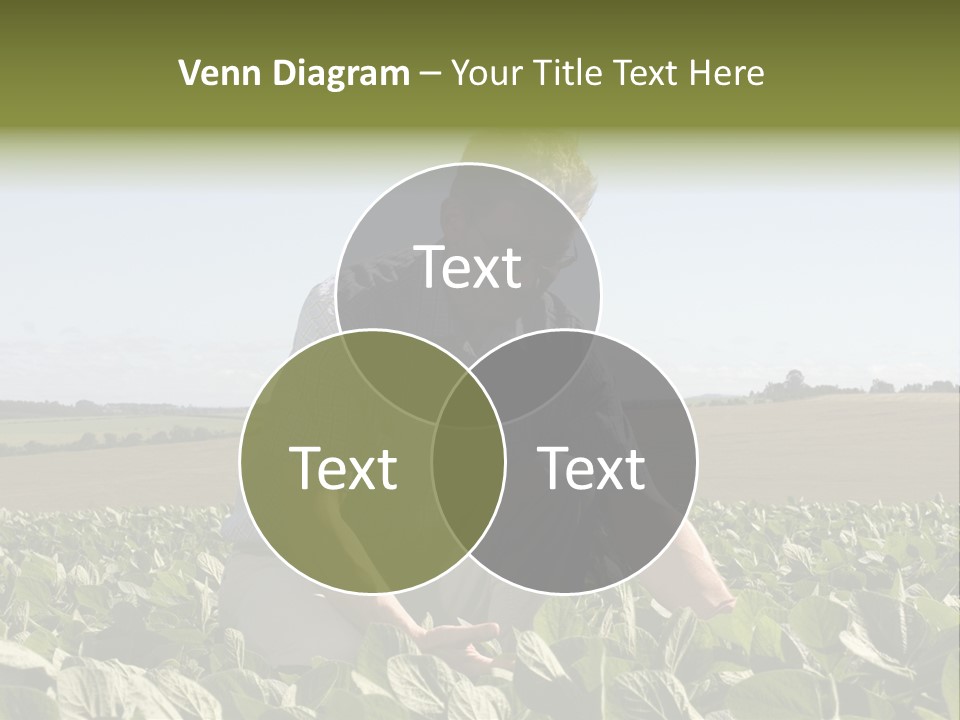 Fresh Male Plant PowerPoint Template