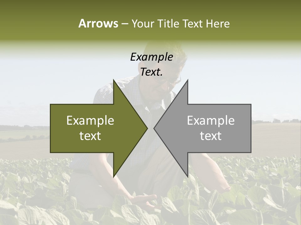 Fresh Male Plant PowerPoint Template